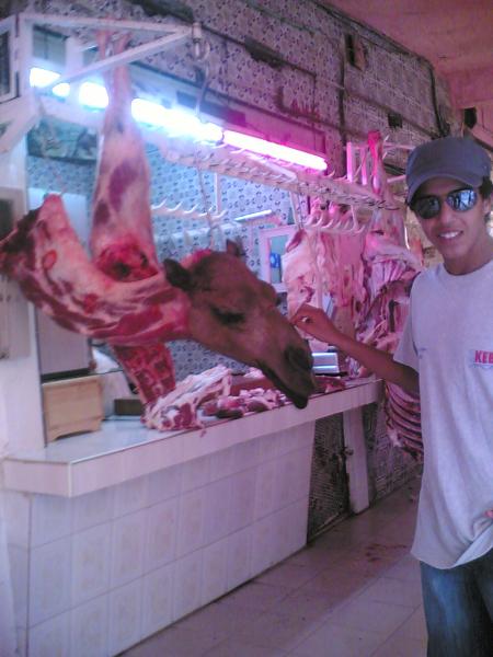 CaMeL